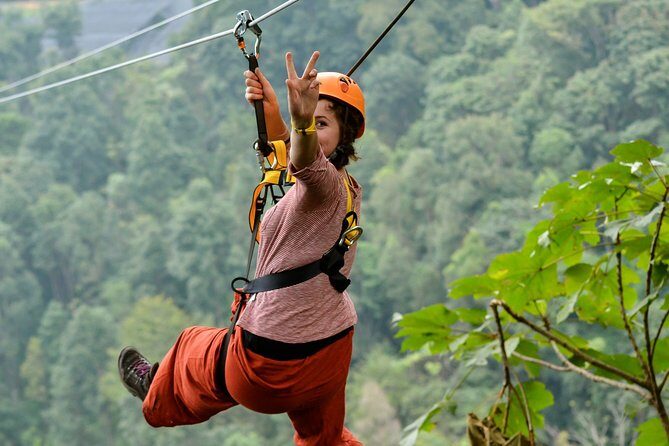 Flight of the Phoenix: Zipline Experience - Frequently Asked Questions