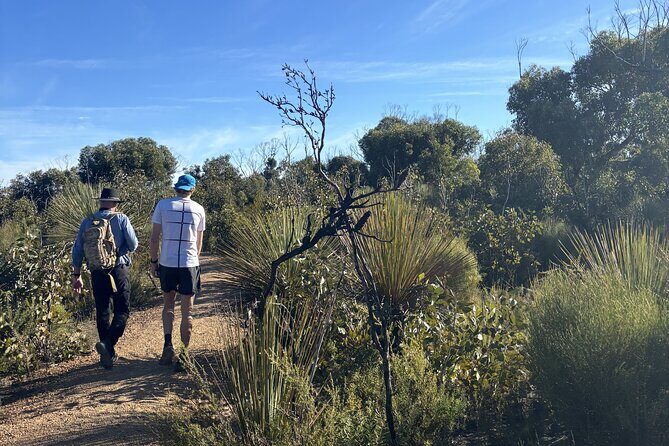 Flinders Chase Private Luxury Tour - What Makes This Tour Stand Out?