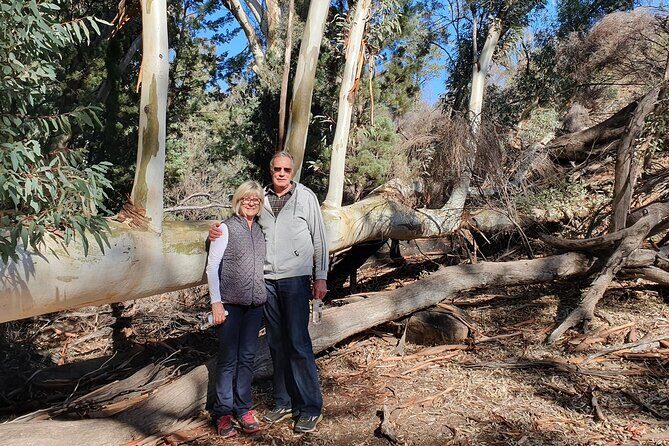 Flinders Ranges 5-Day Small Group 4WD Eco Tour from Adelaide - Day 2: Heritage Blinman Mine and Scenic Lookouts