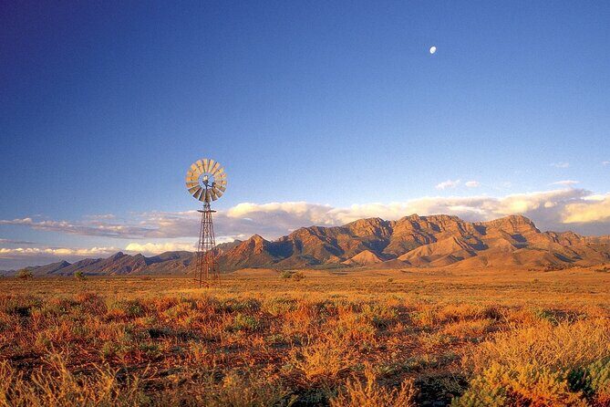 Flinders Ranges 5-Day Small Group 4WD Eco Tour from Adelaide - Day 5: Wrapping Up with Panoramic Views