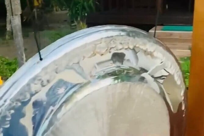 Floating Sound Bath Under the Stars in Bali - Pricing and Value