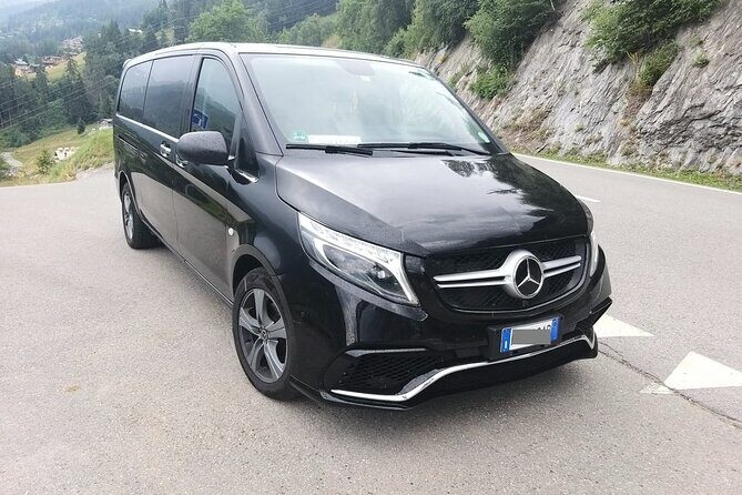 Florence Airport (FLR) to Siena or Sovicille - Arrival Private Transfer - Who Is This Transfer Best For?