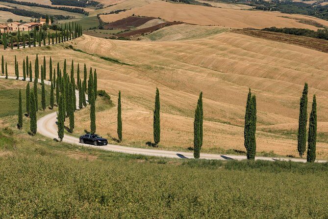 Florence Airport Private Departure Transfer - The Sum Up