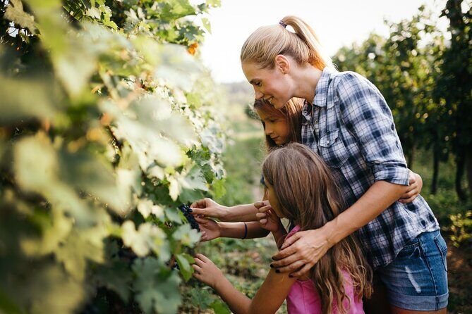 Florence and Chianti Private Wine Tasting Tour from Florence - Practical Details That Matter