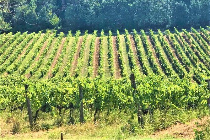 Florence and Pisa: Round Trip Tour from La Spezia Cruises - The Sum Up