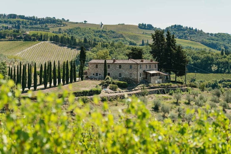 Florence: Chianti Wineries Tour with Wine Tasting - Transportation and Logistics