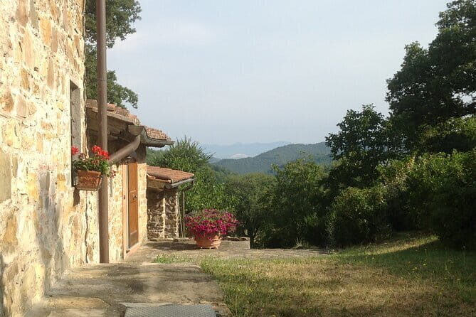 Florence Cooking Class in a Gorgeous Countryside Home with Maria - Who This Experience Suits Best