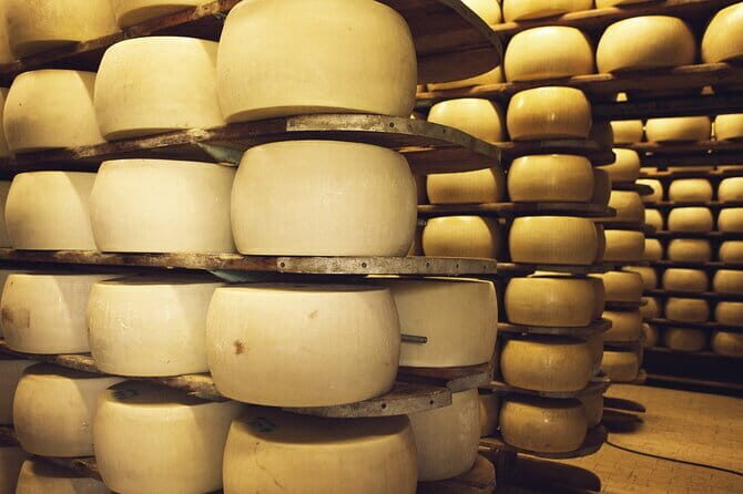 Florence Day Trip: Pisa, San Gimignano and Siena with Lunch - What the Reviews Tell Us