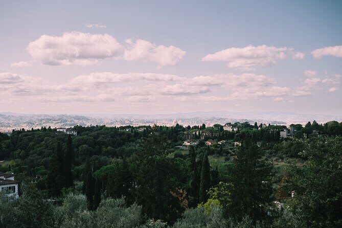 Florence Hop On Hop Off Shore Excursion from Livorno - The Overall Experience and Value