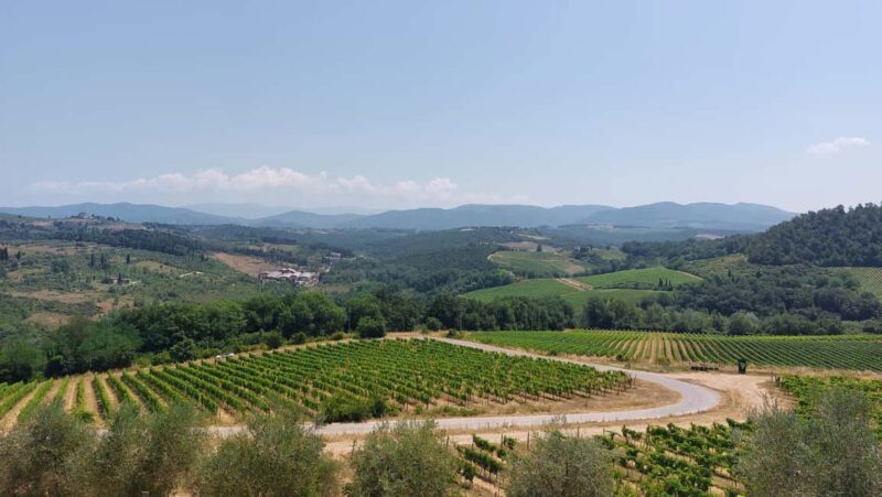 Florence like a local wine teasting - An In-Depth Look at the Florence Like a Local Wine Tasting Tour