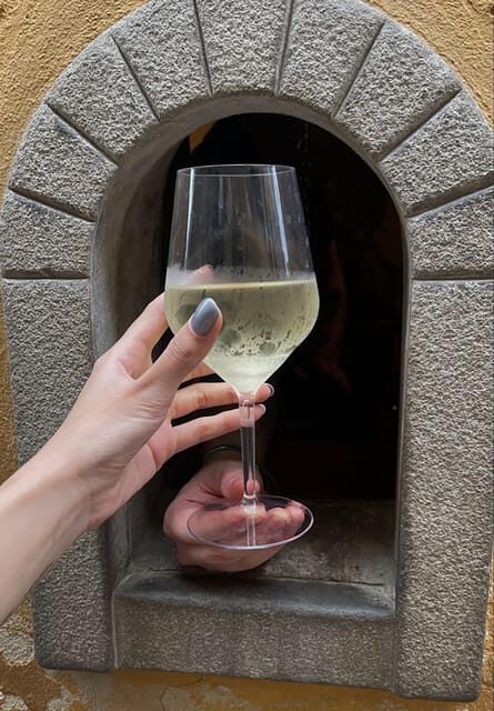 Florence: Michelangelos David & A Sip Through a Wine Window - Who Would Love This Tour?