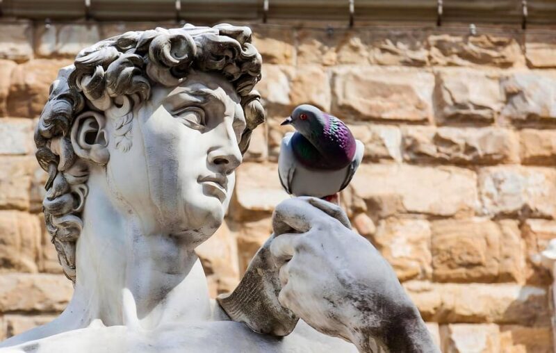 Florence: Piazza della Signoria & David - Anti Walking Tour - What to Expect from the Tour