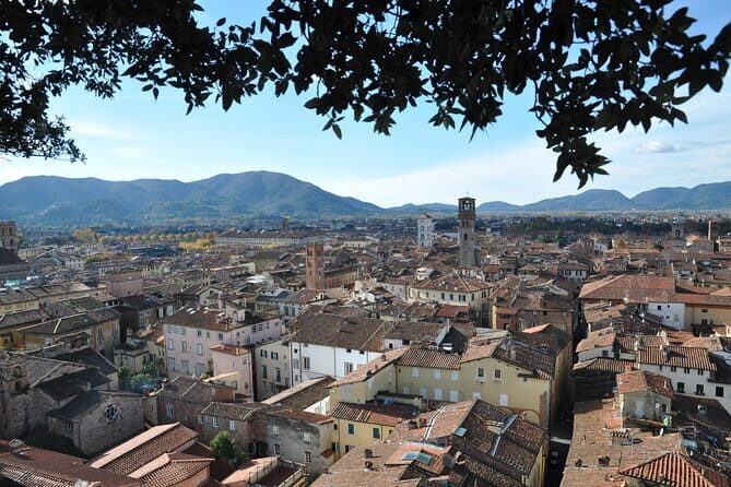 Florence Private Day Trip to Pisa and Lucca - Key Points
