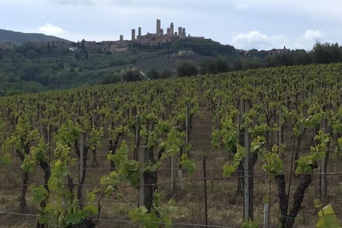 Florence Private Day Trip to Siena and San Gimignano - Who Is This Tour Best For?