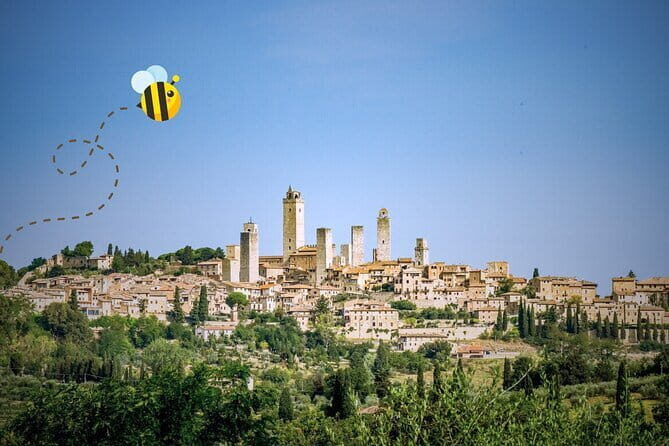 Florence: San Gimignano & Siena Tasting Experience - Transport and Logistics: Why It Matters