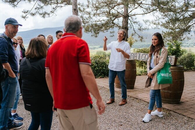 Florence to Tuscany: Chianti, Siena, San Gimignano & Wine + Lunch - A Deep Dive into the Experience