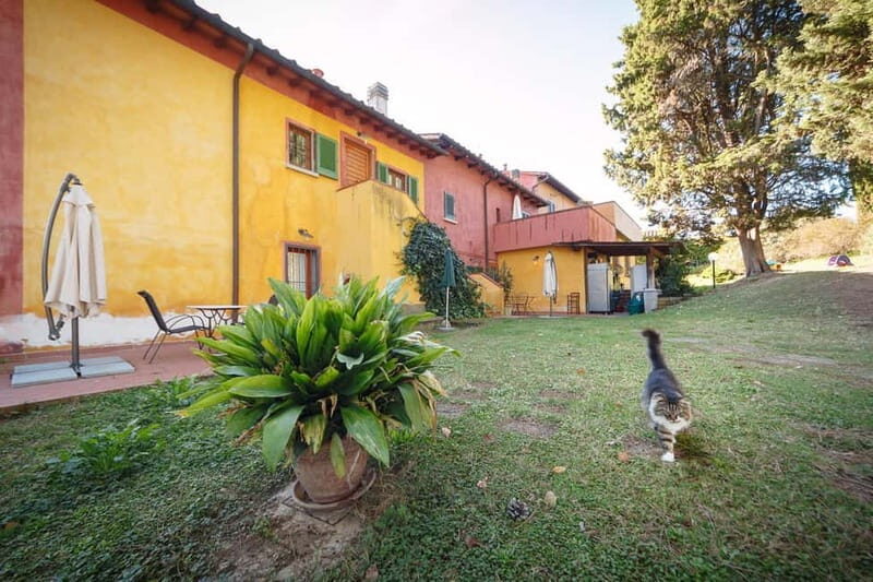 Florence: Wine Tasting at a Vineyard With a Local Winemaker - The Heart of the Experience: From Barrel to Glass