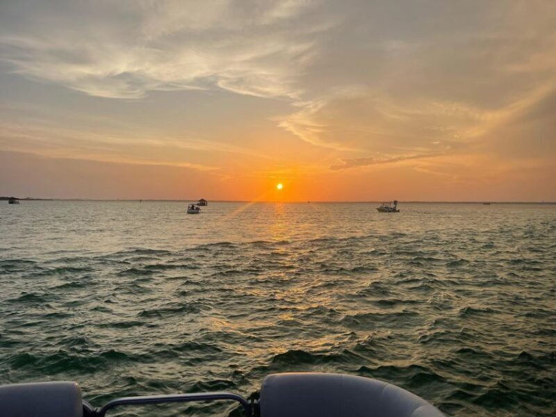 Florida: Emerald Coast Sunset & Dolphin Cruise with Guide - Wildlife and Marine Life: Beyond Dolphins