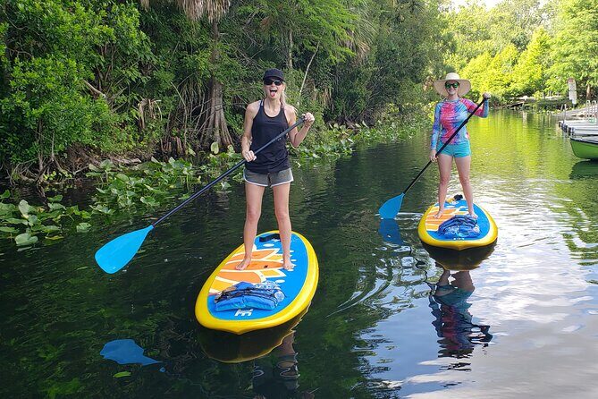 Florida Freshwater Springs Paddle Board Tour - Key Points