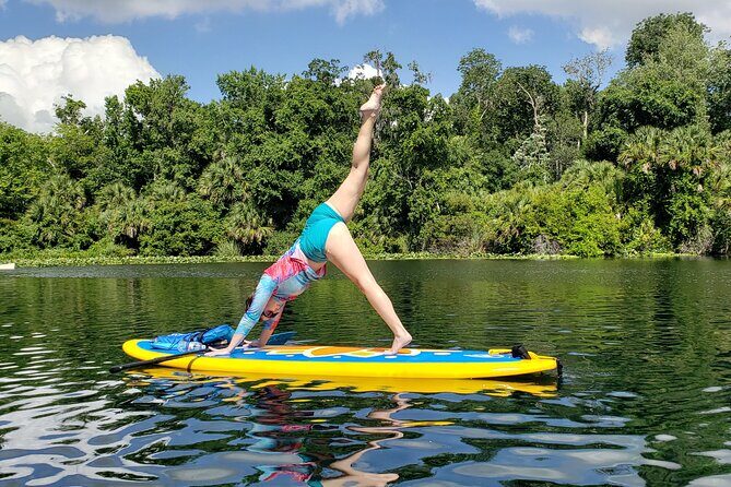 Florida Freshwater Springs Paddle Board Tour - A Detailed Look at the Florida Freshwater Springs Paddle Board Tour