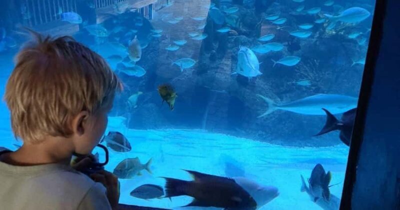 Florida Keys: Aquarium Encounters Day Tour with Lunch - Key Points