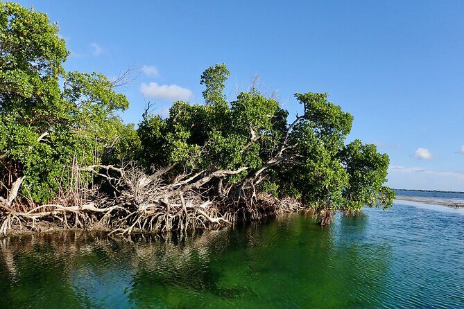 Florida Keys Backcountry Eco Tour from Big Pine Key - Setting the Scene: A Genuine Backcountry Experience