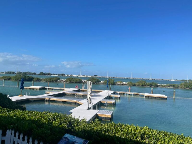 Florida Keys: Dockside Dolphin Experience - Pricing and Value