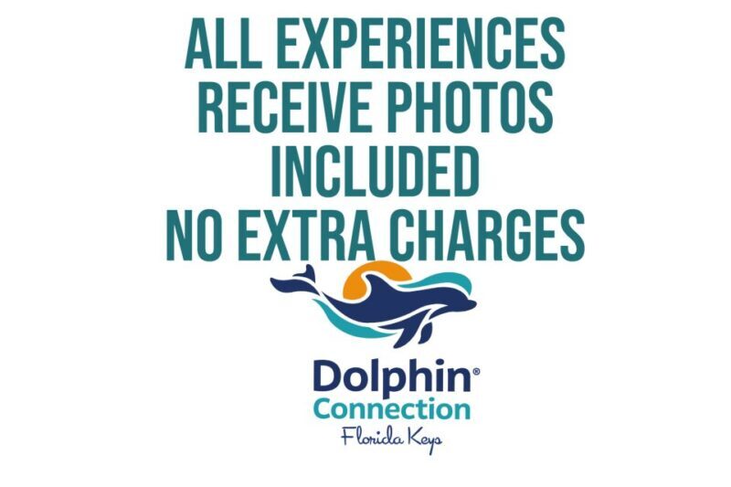 Florida Keys: Dockside Dolphin Experience - Final Thoughts