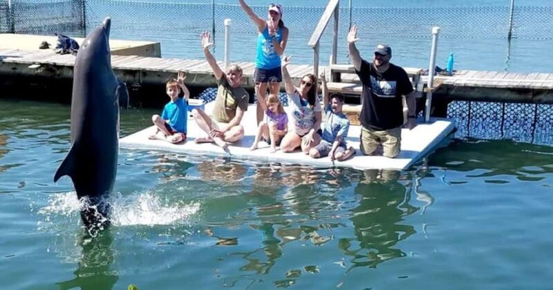 Florida Keys: Dolphin Research Center Day Tour with Lunch - Key Points