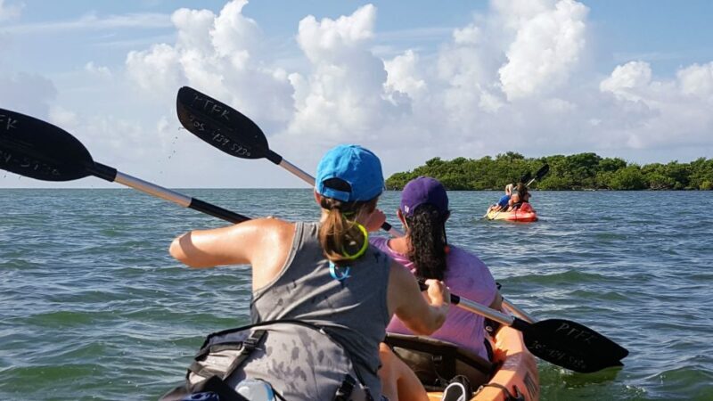 Florida Keys: Full-Day Kayak + Snorkel Coral Reef Adventure - Kayaking and Paddleboarding in Seagrass Flats