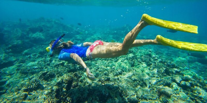 Florida Keys: Full-Day Kayak + Snorkel Coral Reef Adventure - Wildlife and Photography Opportunities