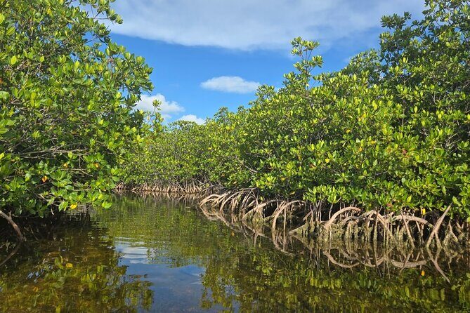 Florida Keys Kayak And Paddleboard Rentals - Key Points