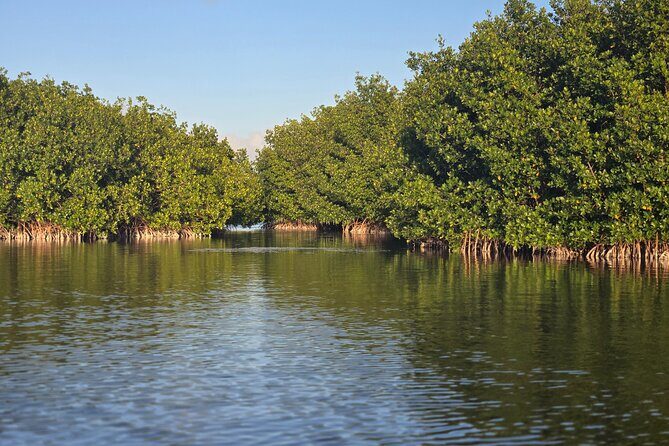 Florida Keys Kayak And Paddleboard Rentals - The Itinerary and Unique Aspects