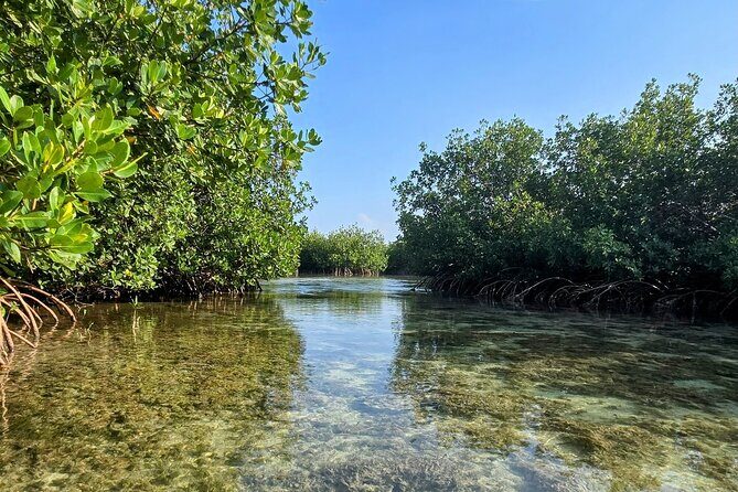 Florida Keys Kayak And Paddleboard Rentals - Final Thoughts