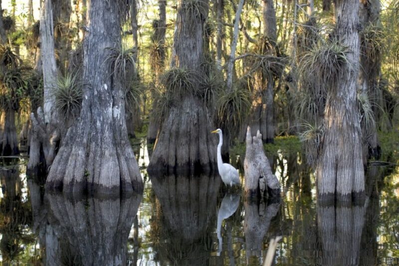 Florida Keys: Key West Kayak Eco Tour with Nature Guide - An In-Depth Look at the Florida Keys Kayak Eco Tour