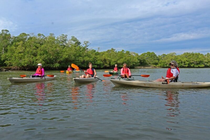 Florida Keys: Key West Kayak Eco Tour with Nature Guide - The Sum Up