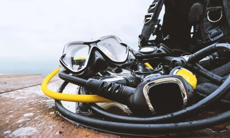 Florida Keys: Scuba Diving & Snorkeling Reef Trip - Who Should Consider This Tour?