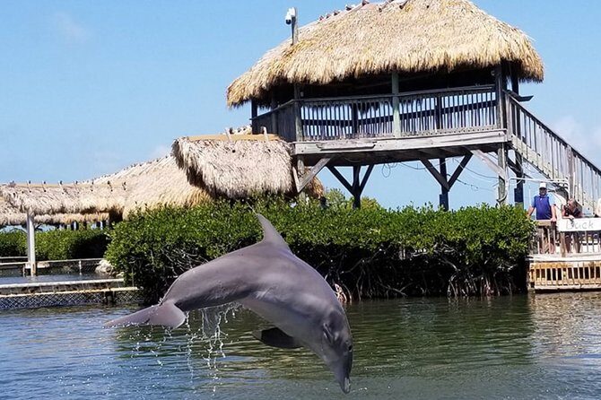 Florida Keys Tour and Private Transportation service - The Sum Up