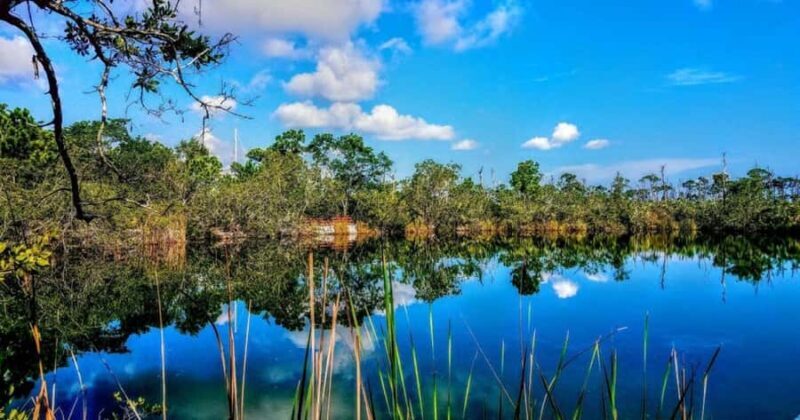 Florida Keys: Up The Keys Nature Tour - The Sum Up