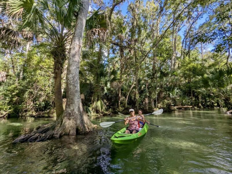 Florida: Rock Springs Run Clear Kayak Adventure - Key Points