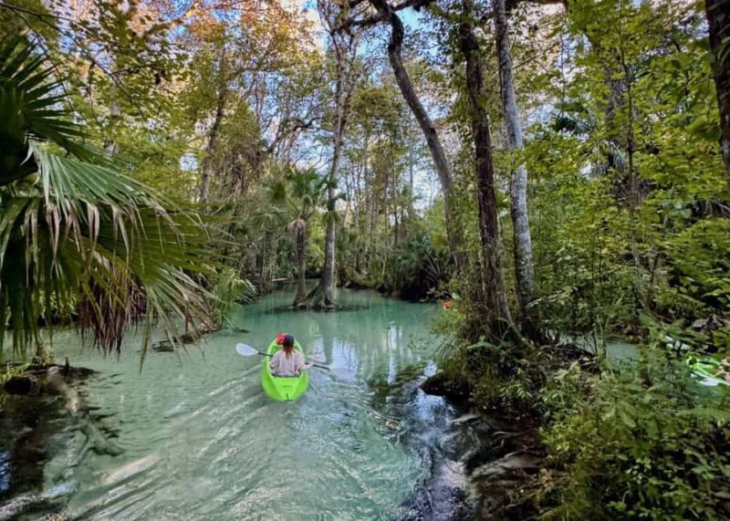 Florida: Rock Springs Run Clear Kayak Adventure - What Makes This Tour Stand Out
