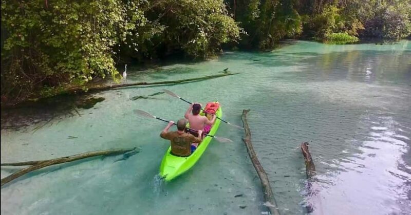 Florida: Rock Springs Run Clear Kayak Adventure - Who Will Love This Tour?