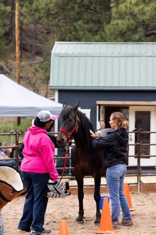 Florissant: Private Horse Experience with Rescue Mustangs - Key Points