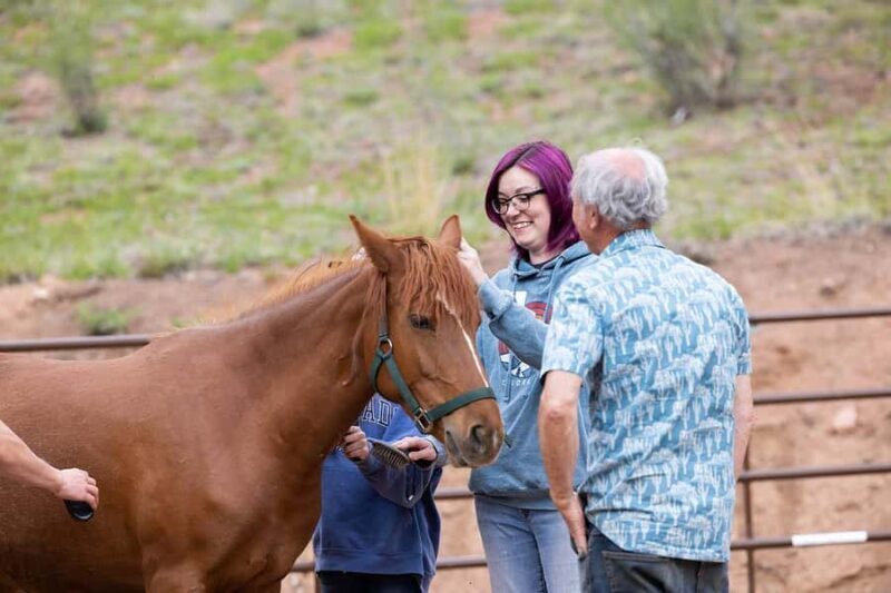 Florissant: Private Horse Experience with Rescue Mustangs - Introduction: Why This Horse Experience Is Unique