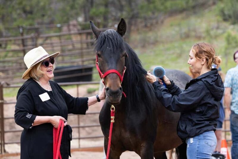 Florissant: Private Horse Experience with Rescue Mustangs - What Travelers Say: Authentic Feedback