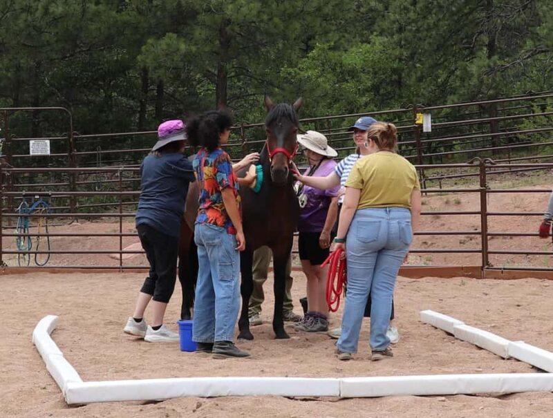 Florissant: Private Horse Experience with Rescue Mustangs - The Practicalities: What You Need to Know