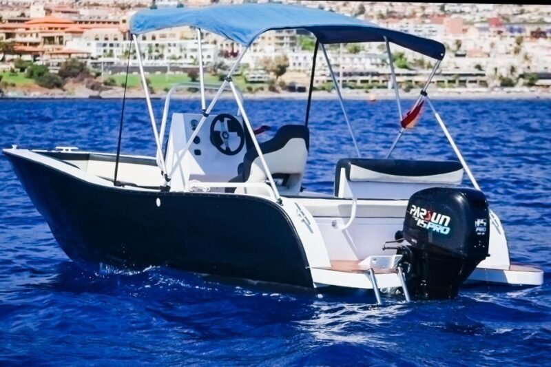 Flow into the ocean without license and discover Adeje - Who Should Consider This Tour?