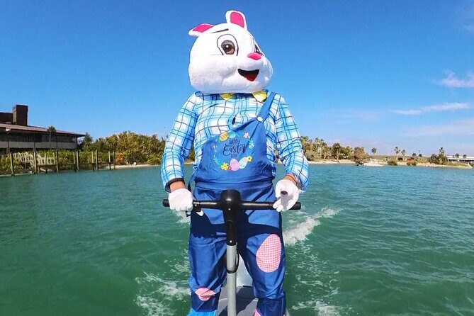 Fly Above Ocean Adventure on a Flite Scooter! - Authentic Insights from Reviewers
