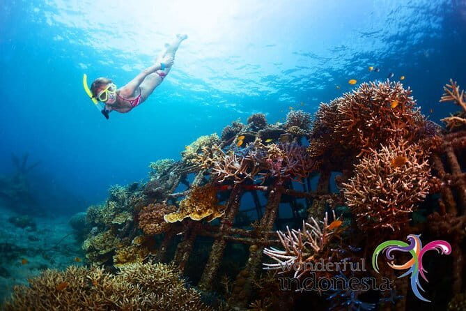 Fly Board Experience in Bali - Optional Upgrades and Extras