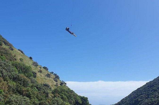 Fly By Wire New Zealand - Practical Details and Booking